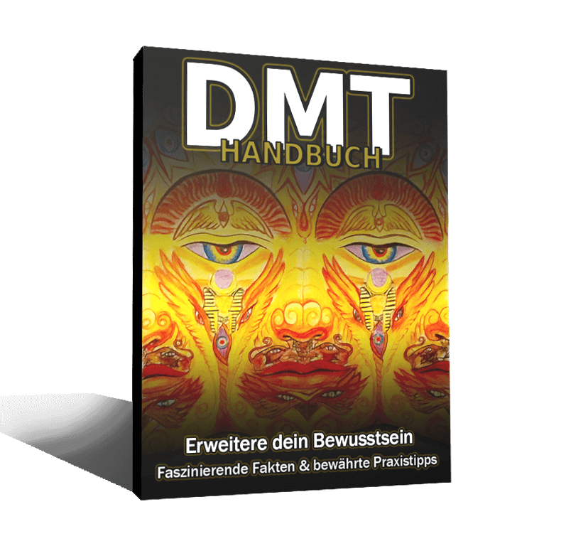 DMT Handbuch
