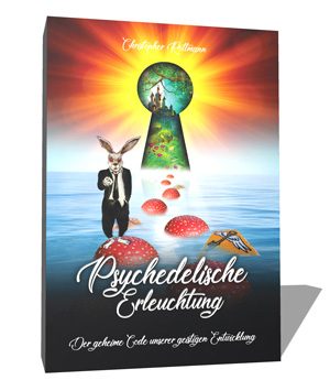 Cover von dem Buch "Psychedelische Erleuchtung"