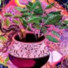 Changa Blends von Das dritte Auge